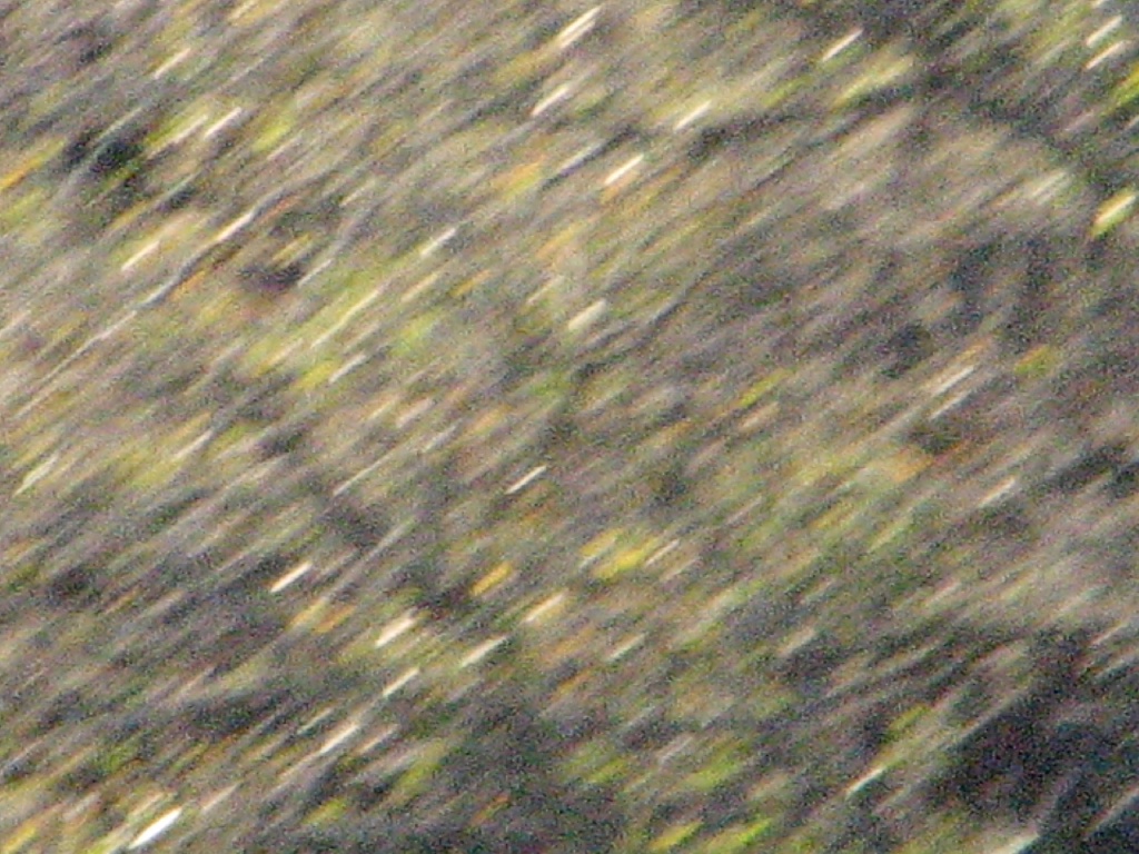 2009/10(October)/Misc/1024x768_20100206 542.JPG